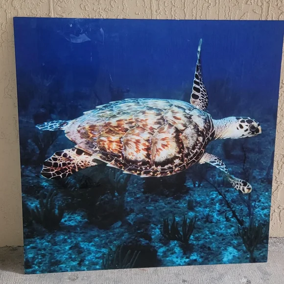 Aluminum Sea Turtle Ocean Wall Art 30x30